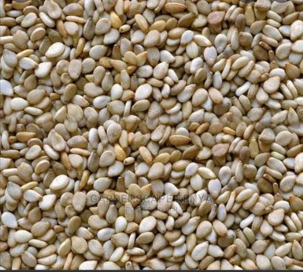 Simsim/Sesame Seeds Per Kg - thumbnail 2