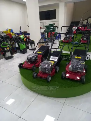 Grass Cutting Briggs and Stratton Lawn Mower
