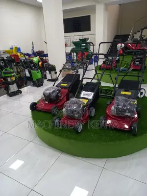 Grass Cutting Briggs and Stratton Lawn Mower