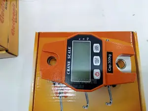 Professional Mini Crane Scale
