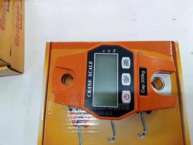 Professional Mini Crane Scale - thumbnail 4