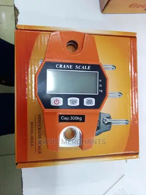 Professional Mini Crane Scale