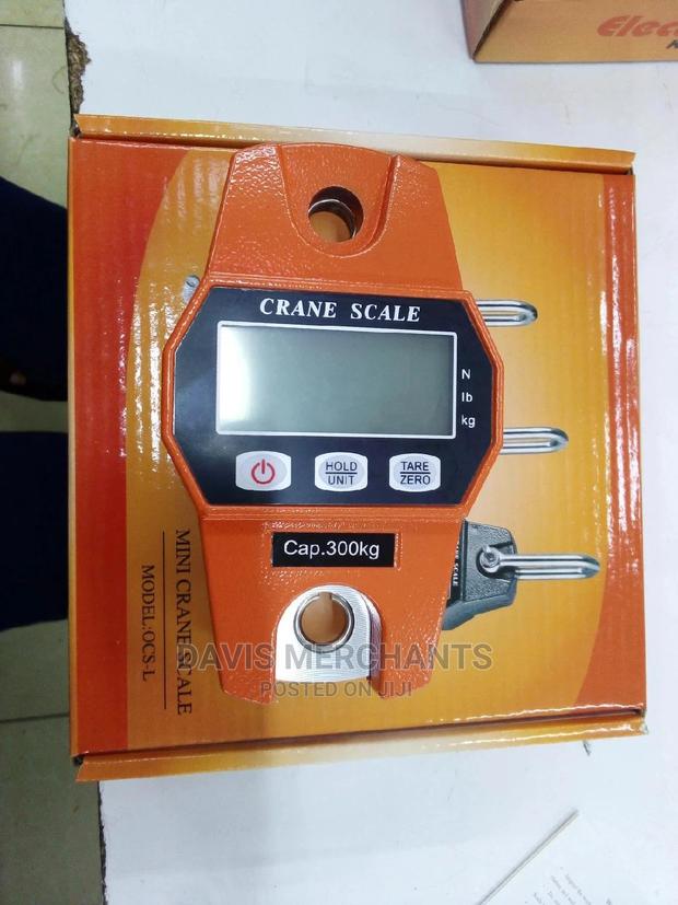 Professional Mini Crane Scale - thumbnail 6