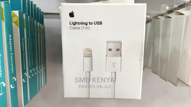 iPhone Charging Cable - main view