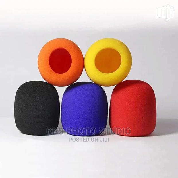 Mic Sponge