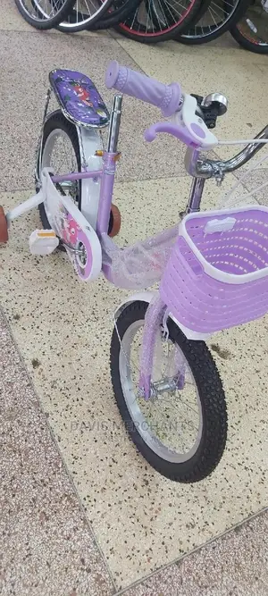 Girl's Purple Single Gear Bi