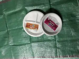 Disposable 9inch And 11 Inch Plates