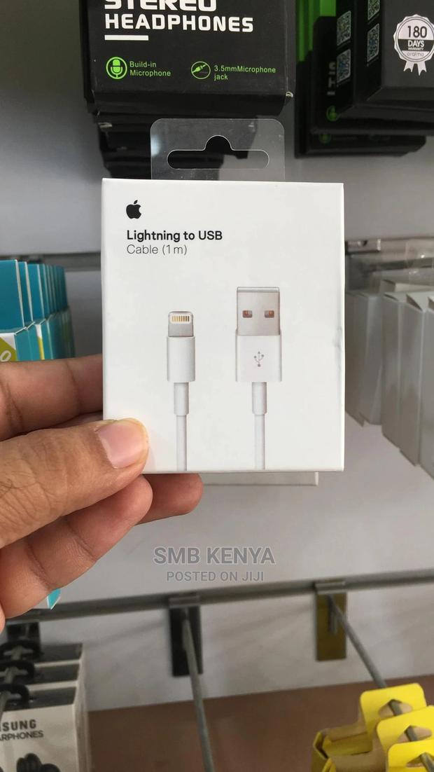 iPhone Charging Cable - thumbnail 2