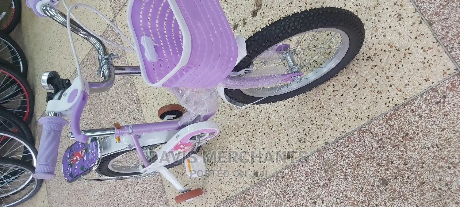 Bike for 4 to 7 Years Old Girls
