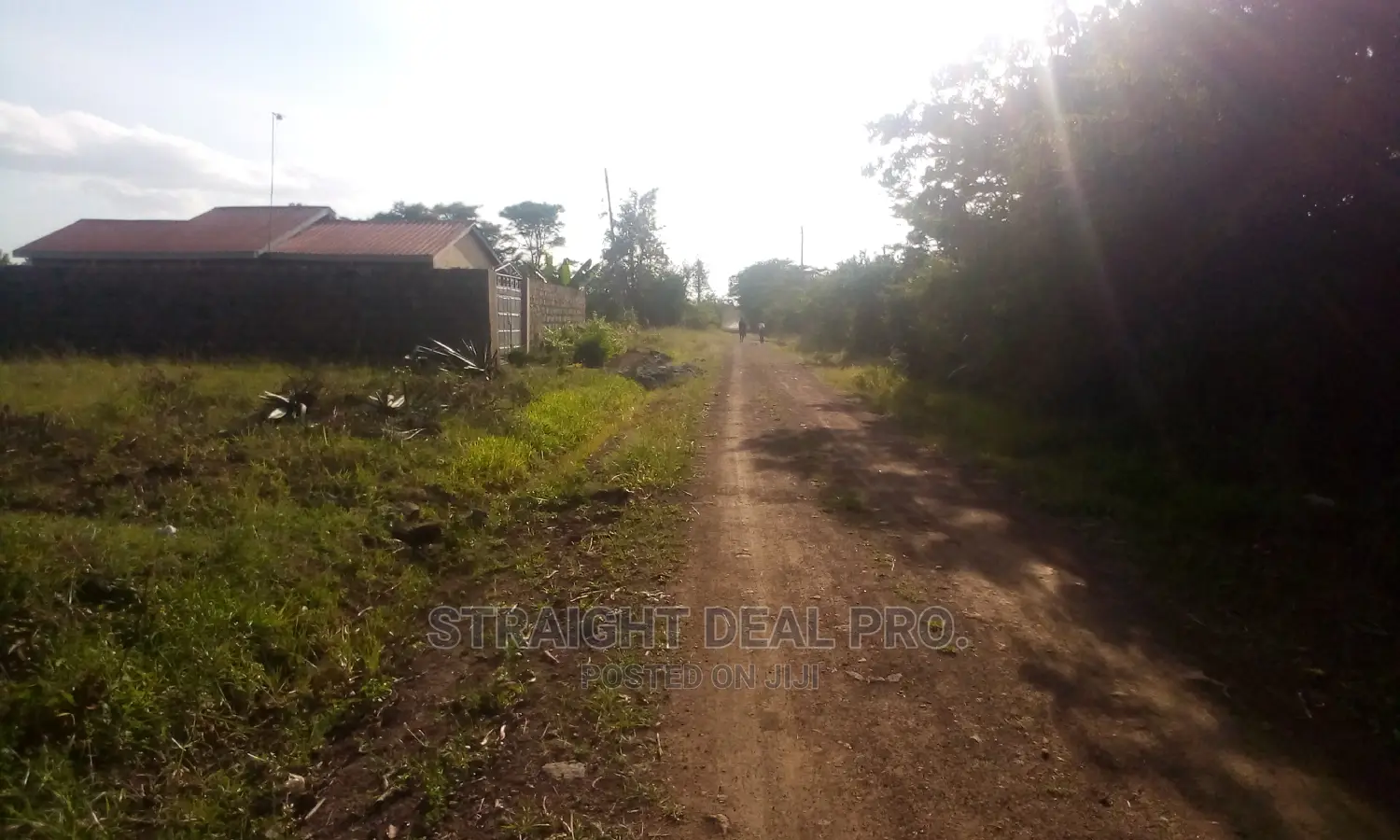1⁄4 Acre of Land for Sale