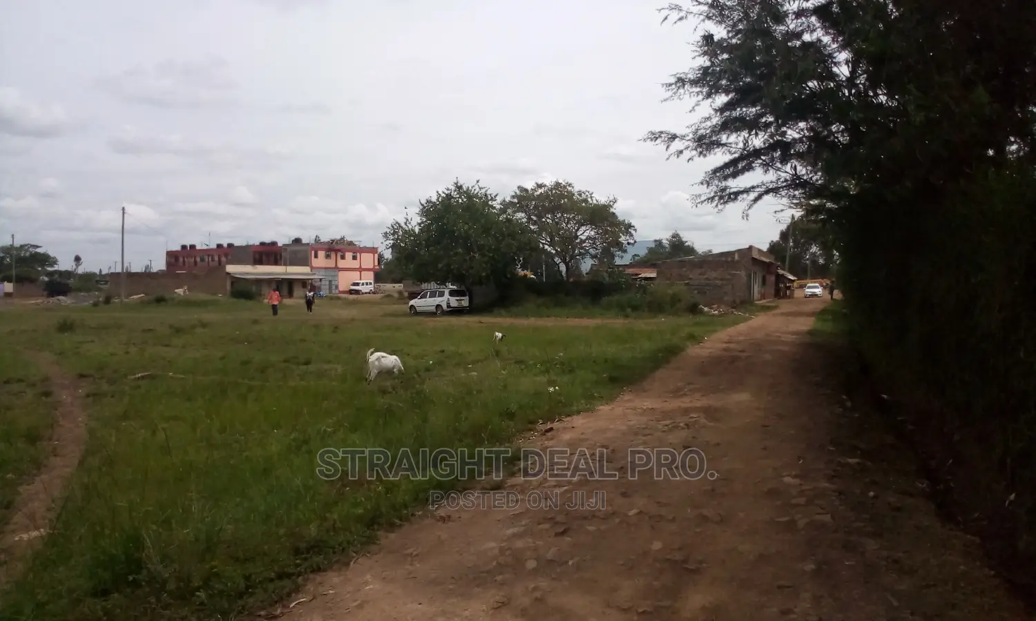1⁄4 Acre of Land for Sale