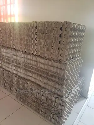 Chicken Eggs Tray