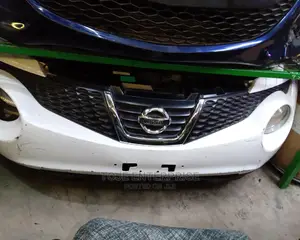 Nissan Juke Nosecuts Available at Affordable Prices