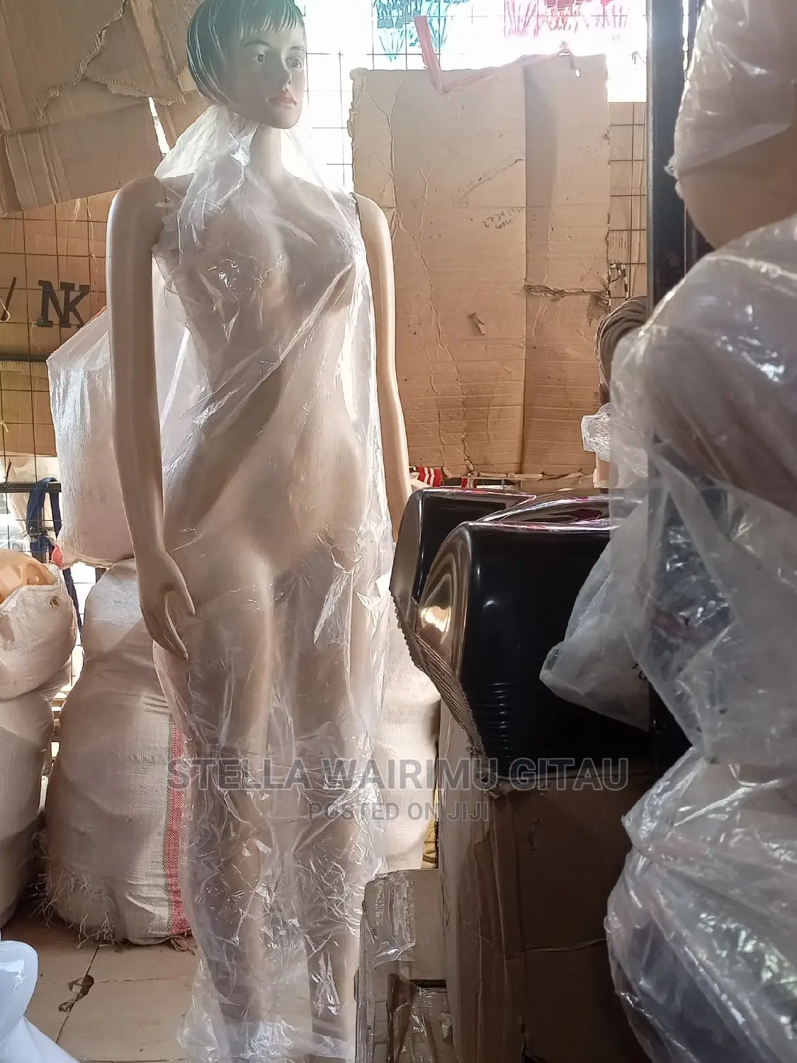Ladies Full Mannequin