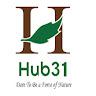 Hub Thirty One logo