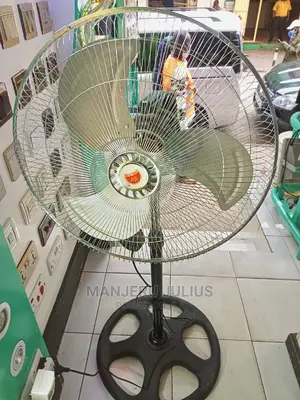 Standing Fan