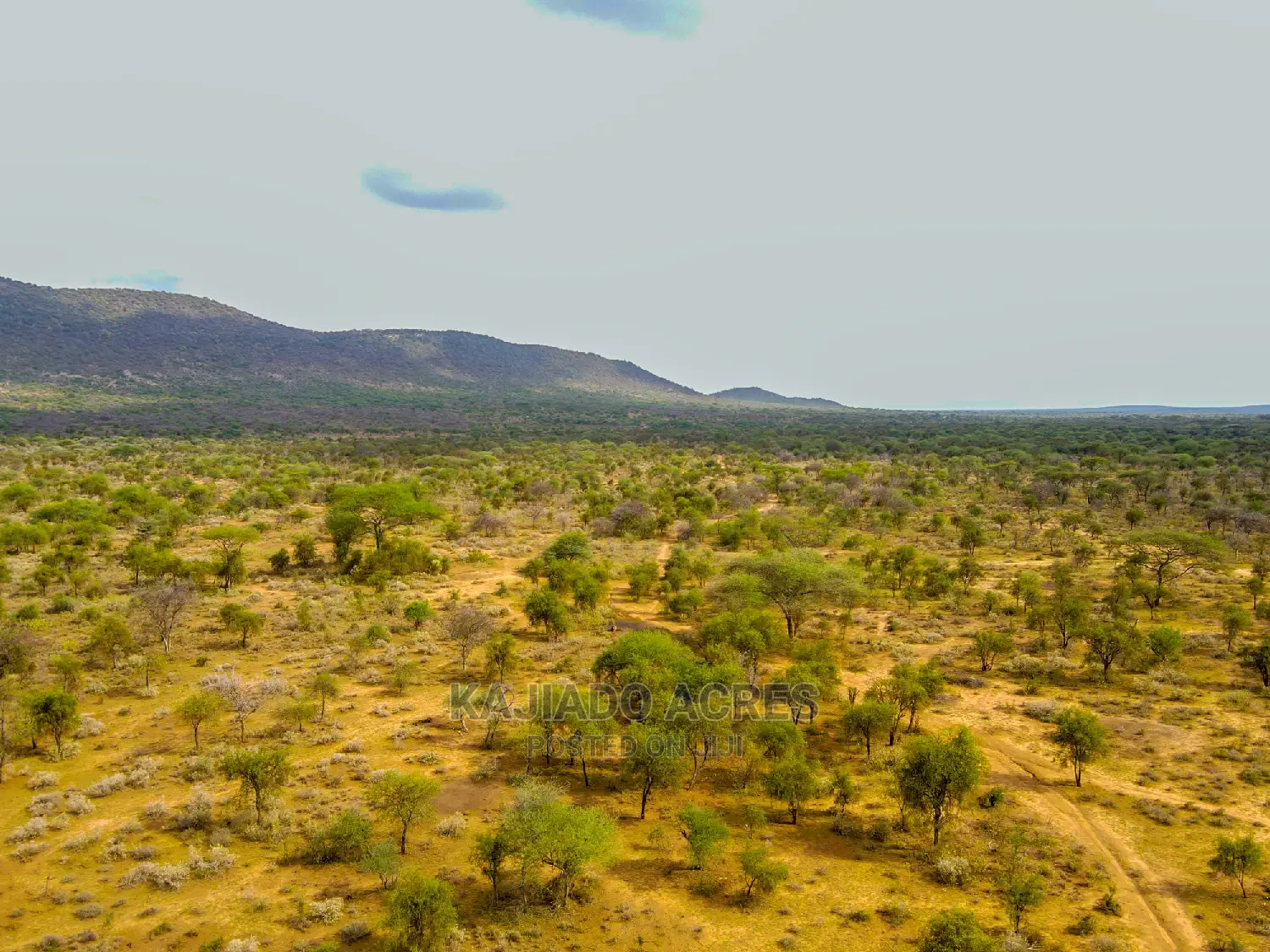 Quick Sale 140 Acres Maili Tisa