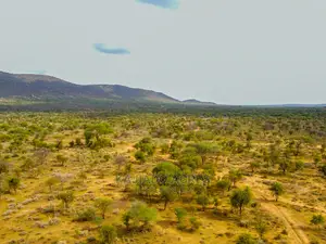 Quick Sale 140 Acres Maili Tisa