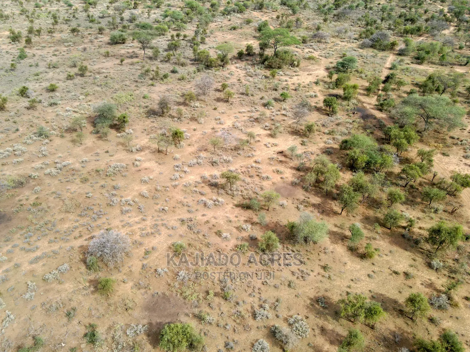 Quick Sale 140 Acres Maili Tisa