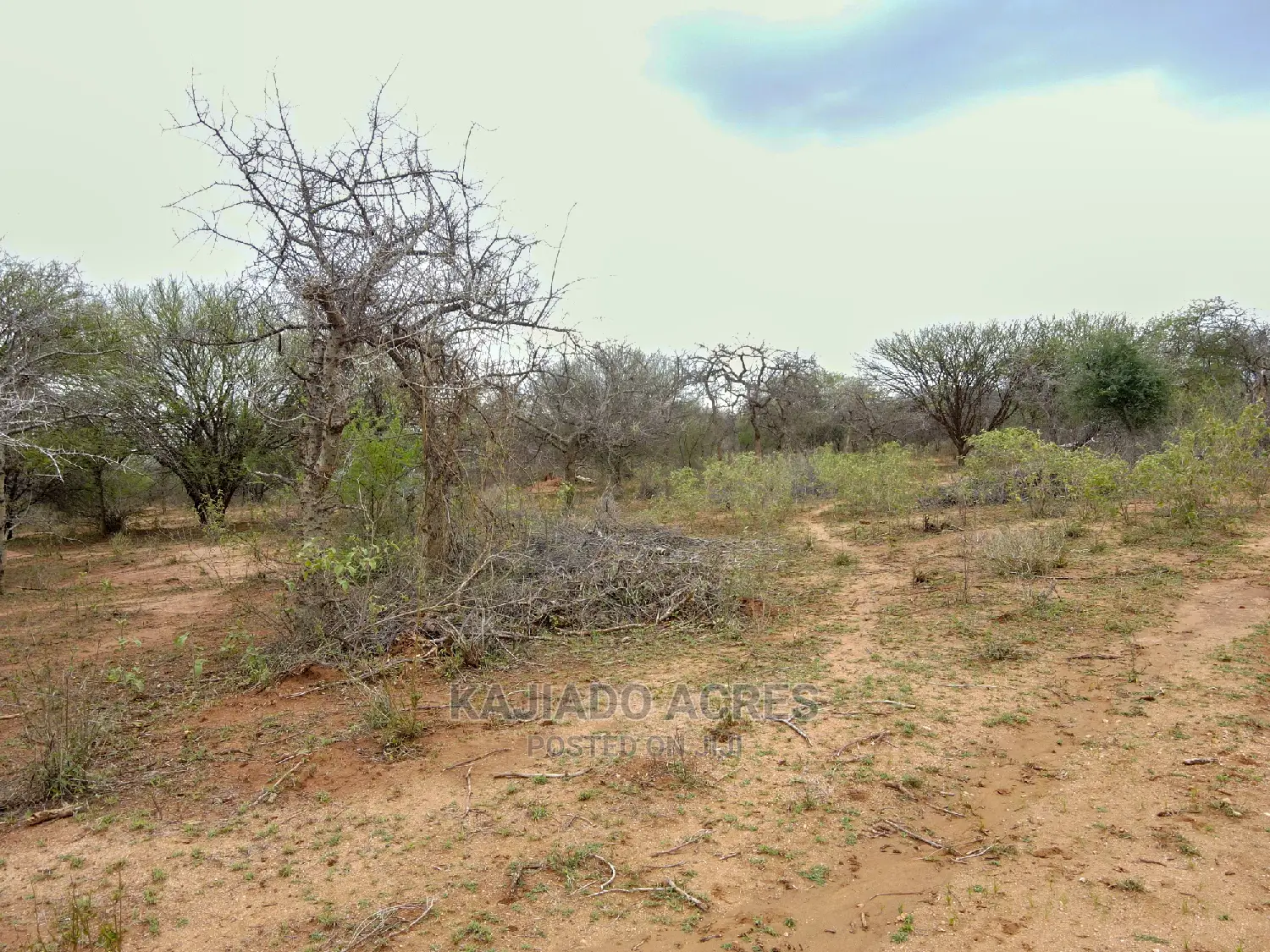 Quick Sale 140 Acres Maili Tisa
