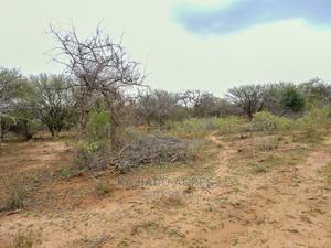Quick Sale 140 Acres Maili Tisa - thumbnail 2
