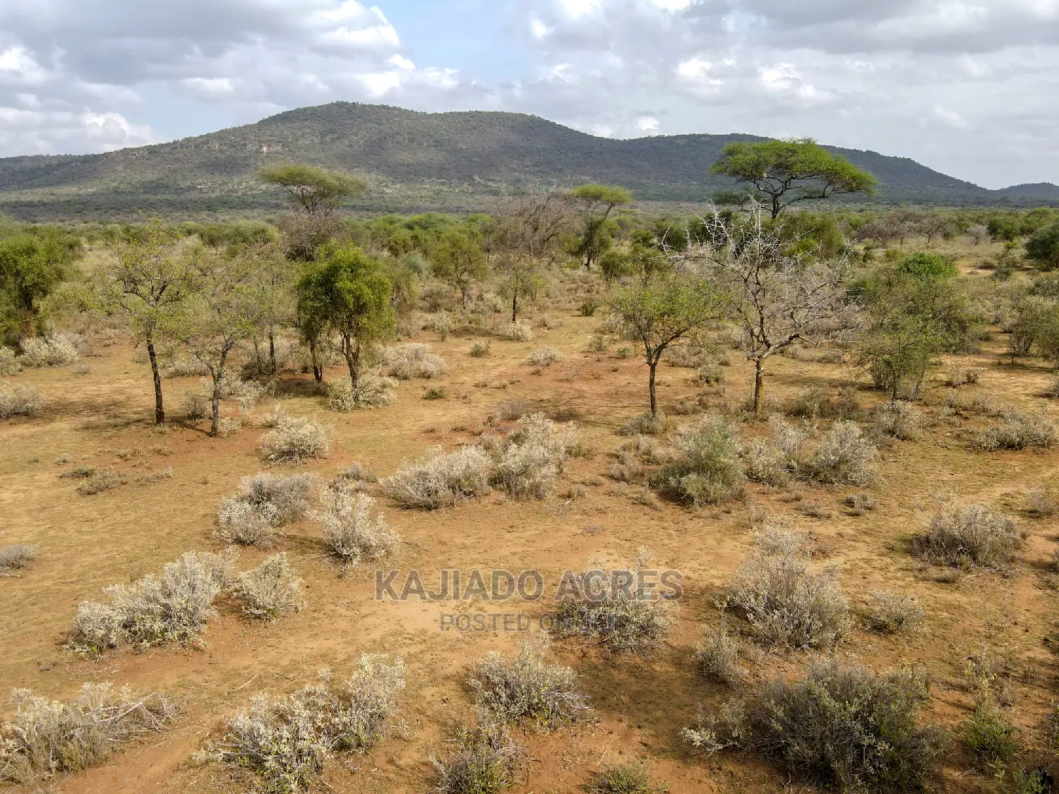 Quick Sale 140 Acres Maili Tisa