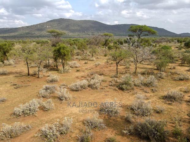 Quick Sale 140 Acres Maili Tisa - thumbnail 10