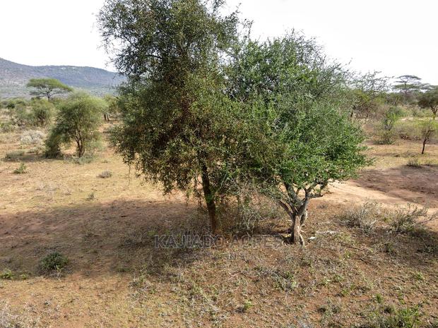Quick Sale 140 Acres Maili Tisa - thumbnail 9