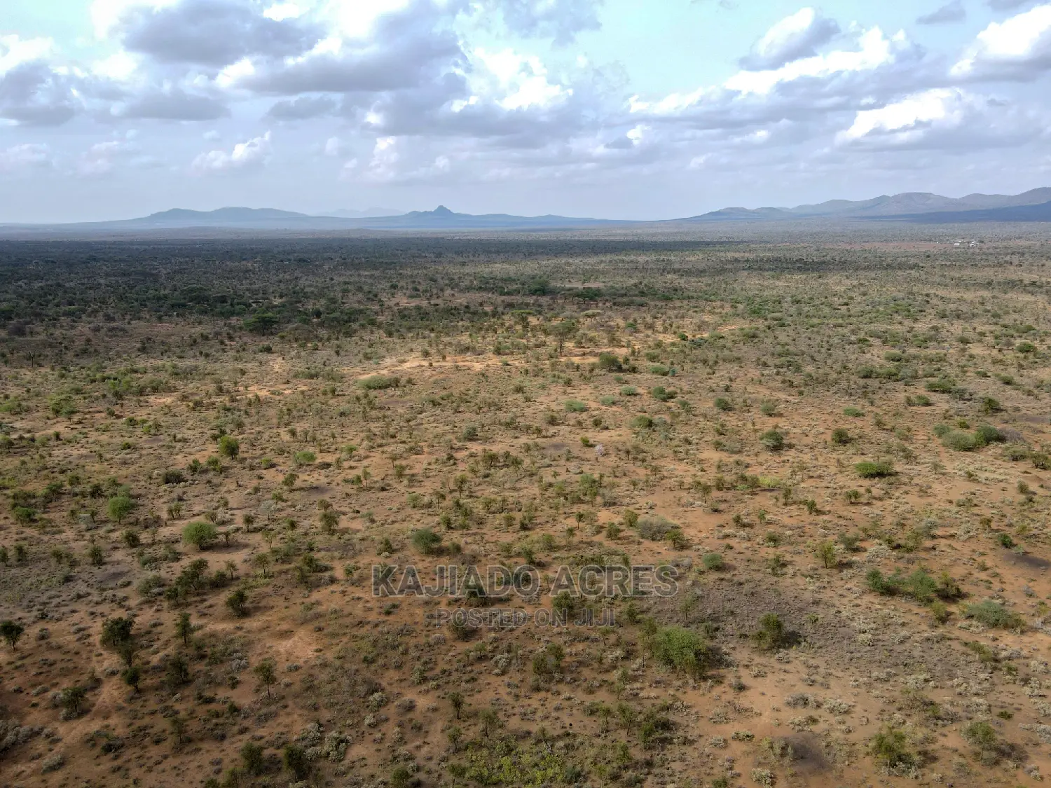 Quick Sale 140 Acres Maili Tisa