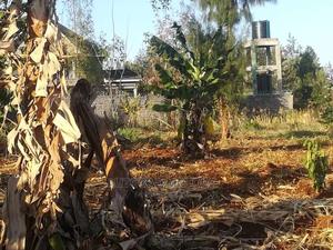 1/4 Acre In Mugumo - thumbnail 2