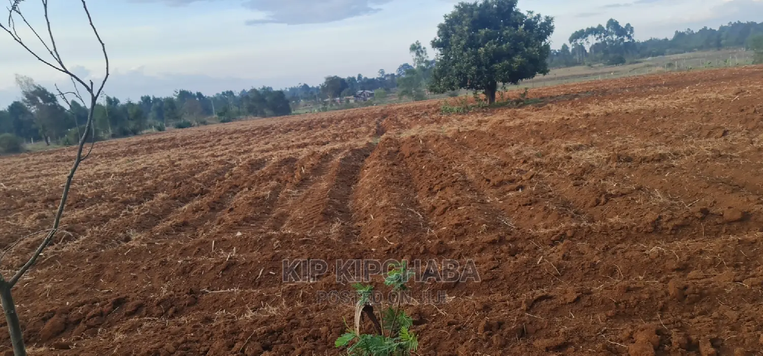 Prime 5 Acres Land for Sale in Cheplasgei Eldoret