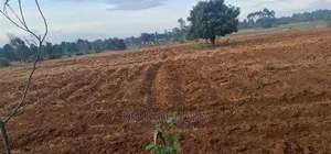 Prime 5 Acres Land for Sale in Cheplasgei Eldoret