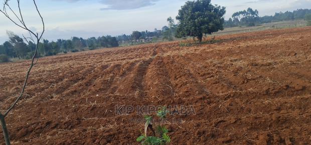 Prime 5 Acres Land for Sale in Cheplasgei Eldoret