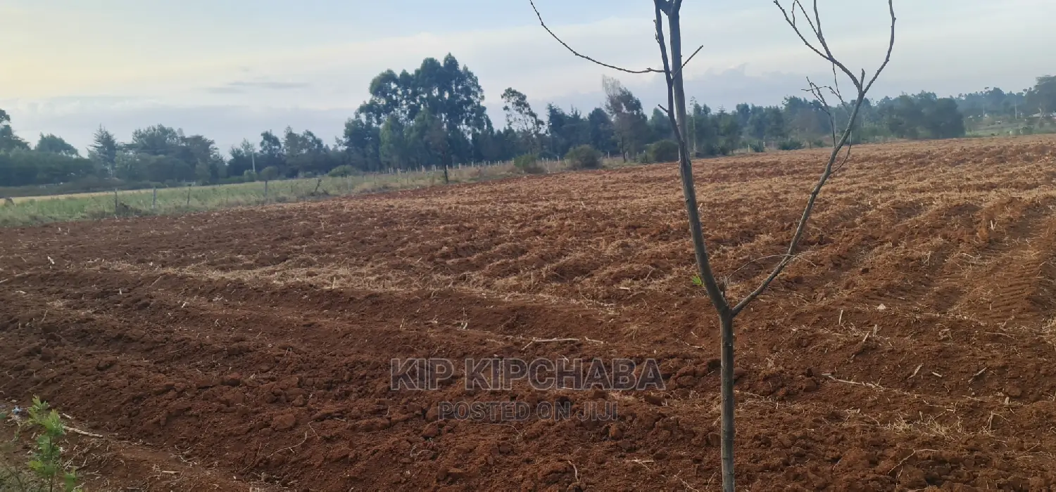 Prime 5 Acres Land for Sale in Cheplasgei Eldoret