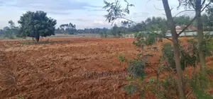 Prime 5 Acres Land for Sale in Cheplasgei Eldoret