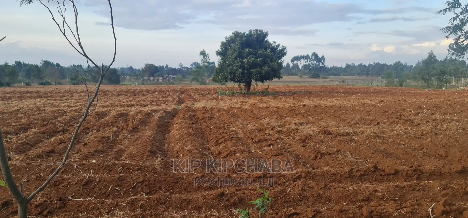 Prime 5 Acres Land for Sale in Cheplasgei Eldoret