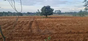 Prime 5 Acres Land for Sale in Cheplasgei Eldoret