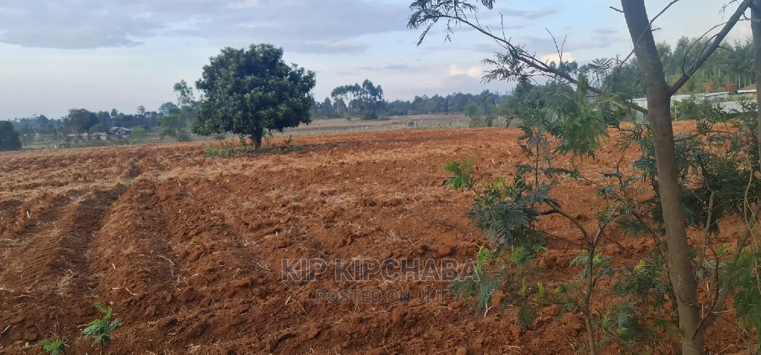Prime 5 Acres Land for Sale in Cheplasgei Eldoret