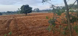 Prime 5 Acres Land for Sale in Cheplasgei Eldoret