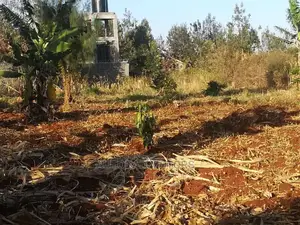 1/4 Acre In Mugumo