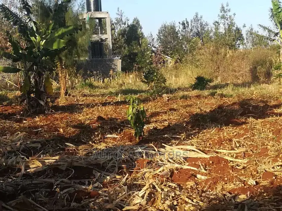 1/4 Acre In Mugumo