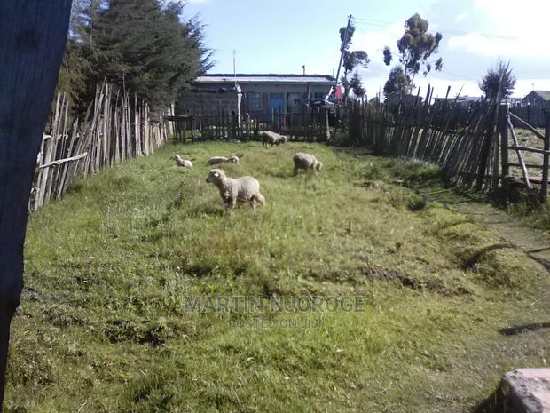 50 By 100 Plot Fryover - main view