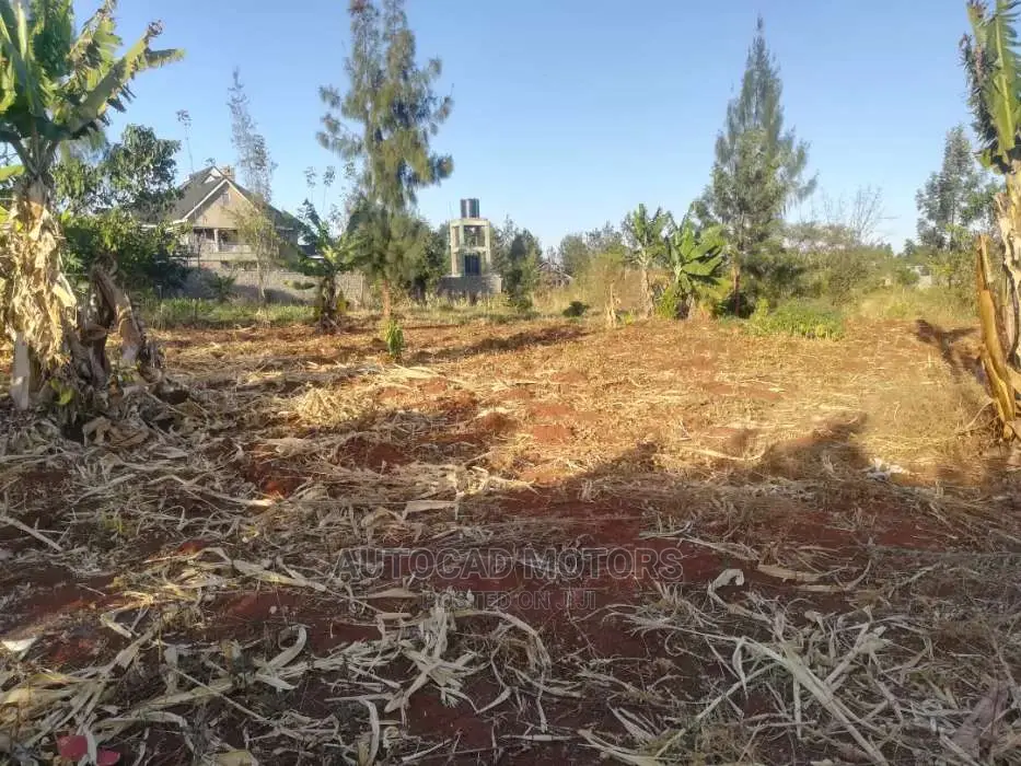 1/4 Acre In Mugumo