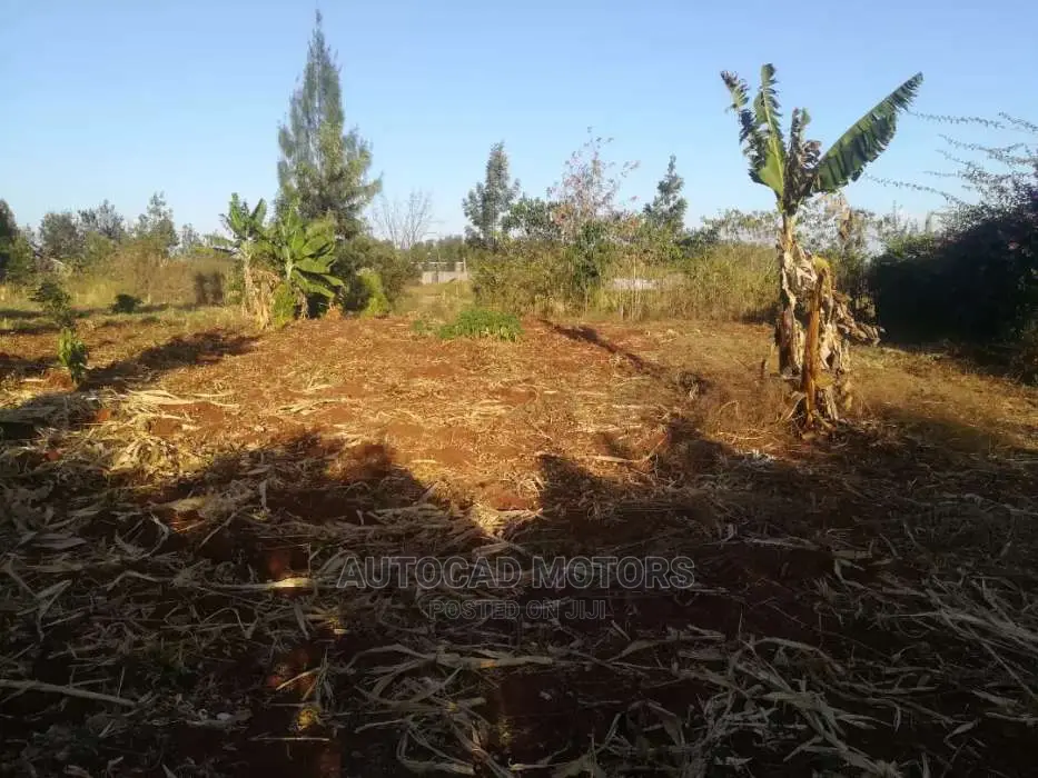 1/4 Acre In Mugumo