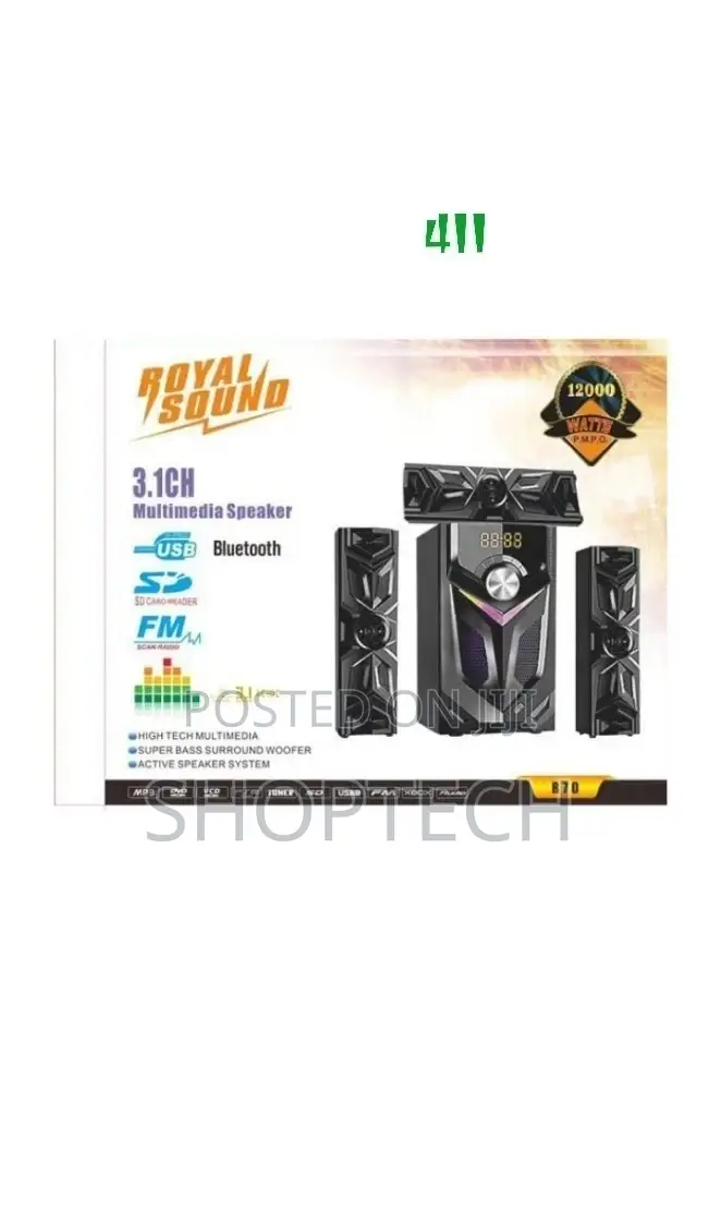 2.1 Royal Sound 411 Sounds System Woofer