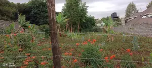 Ngong 1⁄4 Plot for Sale Along Maragara Road.