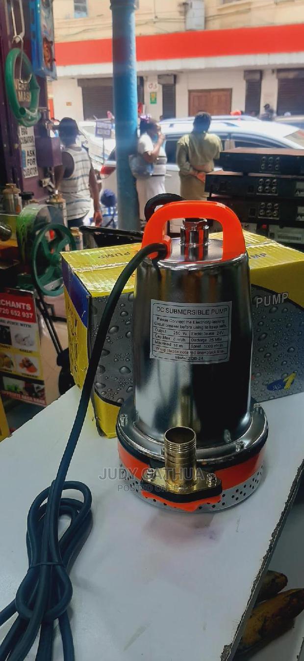 Shallow Well Pump - main view