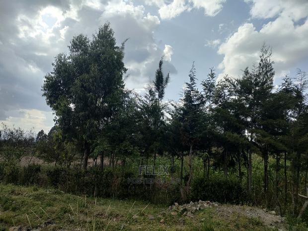 Chaka /Kalicheni 3 Quota Touching Main Tarmac - thumbnail 2