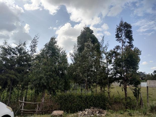 Chaka /Kalicheni 3 Quota Touching Main Tarmac - thumbnail 5