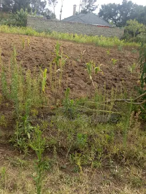 50*100 Plot on Sale at Karati Naivasha